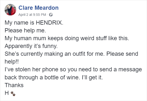 Woman Wears Bizarre Costumes While Walking Her Dog During The Quarantine And He Looks Embarrassed (8 Pics)