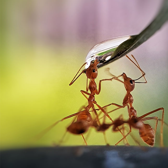 50 Of The Best Entries From Our ‘Water 2020’ Photography Competition