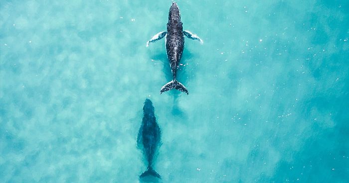 50 Of The Best Entries From Our ‘Water 2020’ Photography Competition