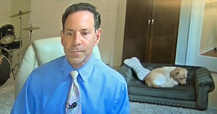 Weatherman Brightens Up People’s Days By Letting His Pets Hang Out In The Background During Broadcasts