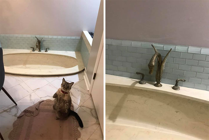 Sunken Tub With Original Vomiting Swan Hardware And Zen, Rock-Garden Alcove