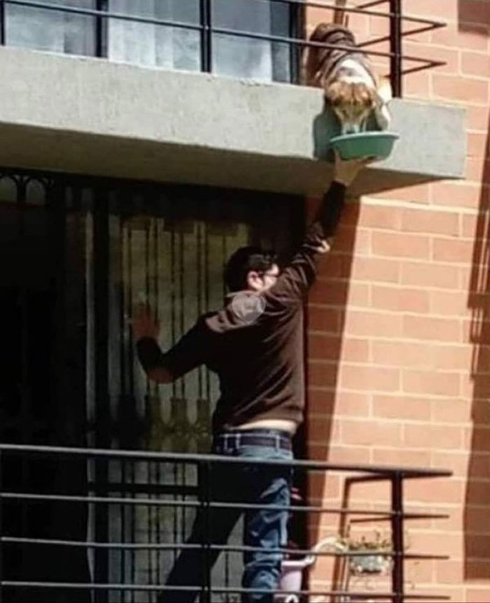 Coronavirus-Wholesome-Quarantine-Good-News