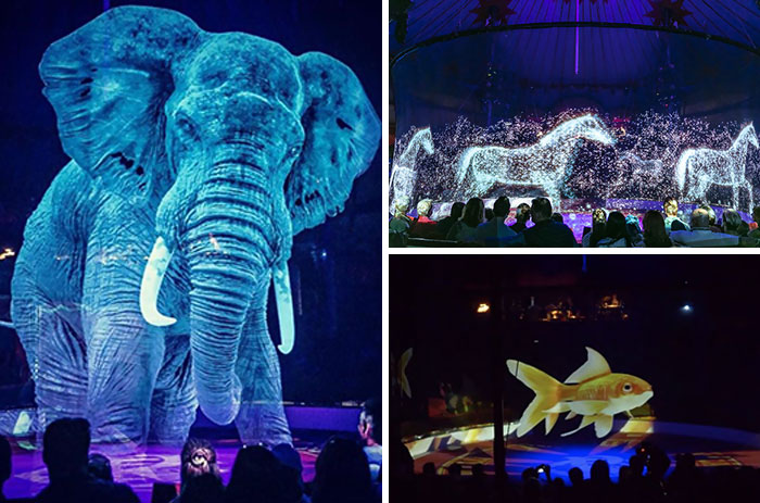 German Circus Uses Holograms Instead Of Live Animals For A Cruelty-Free Magical Experience