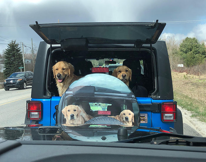 Made Me Smile During A Traffic Back Up