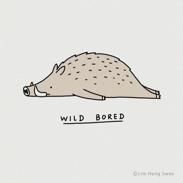 Wild Boar