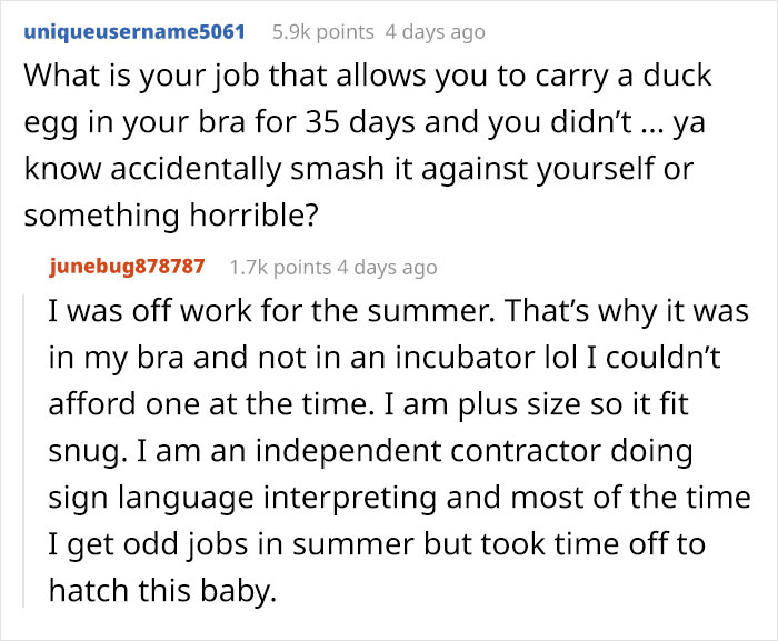 Kids Destroy Duck's Nest, Woman Saves Cracked Egg By Carrying It In Her Bra For 35 Days