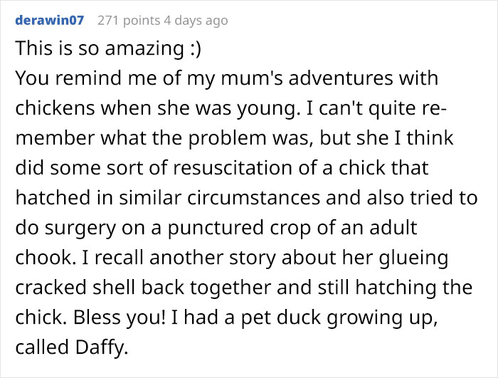 Kids Destroy Duck's Nest, Woman Saves Cracked Egg By Carrying It In Her Bra For 35 Days Kids Destroy Duck's Nest, Woman Saves Cracked Egg By Carrying It In Her Bra For 35 Days