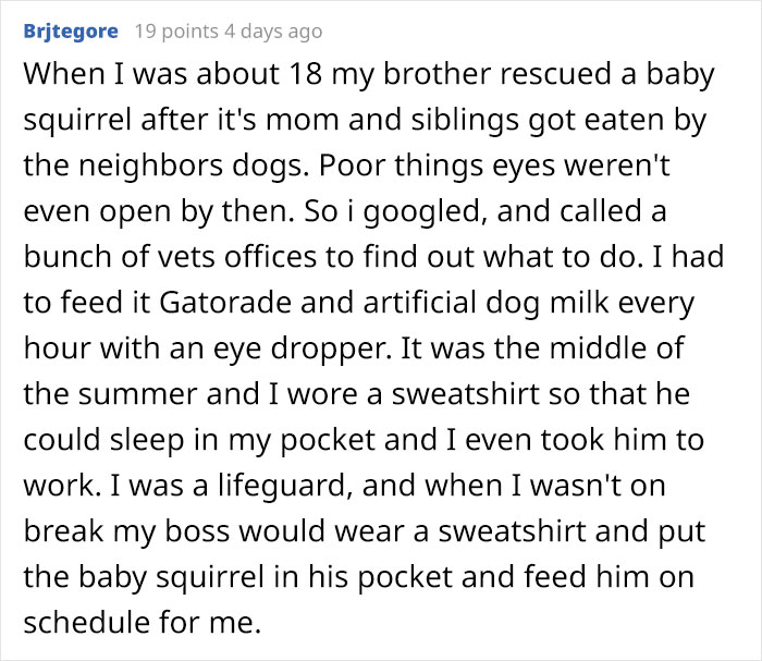 Kids Destroy Duck's Nest, Woman Saves Cracked Egg By Carrying It In Her Bra For 35 Days Kids Destroy Duck's Nest, Woman Saves Cracked Egg By Carrying It In Her Bra For 35 Days