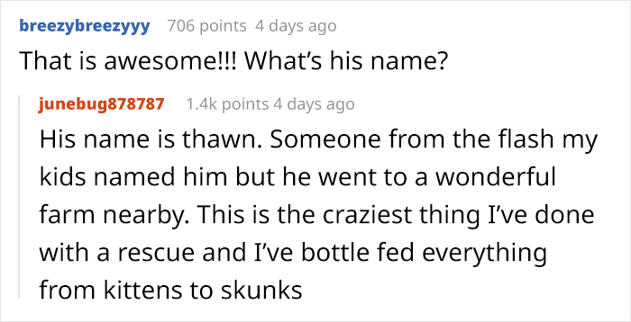 Kids Destroy Duck's Nest, Woman Saves Cracked Egg By Carrying It In Her Bra For 35 Days Kids Destroy Duck's Nest, Woman Saves Cracked Egg By Carrying It In Her Bra For 35 Days