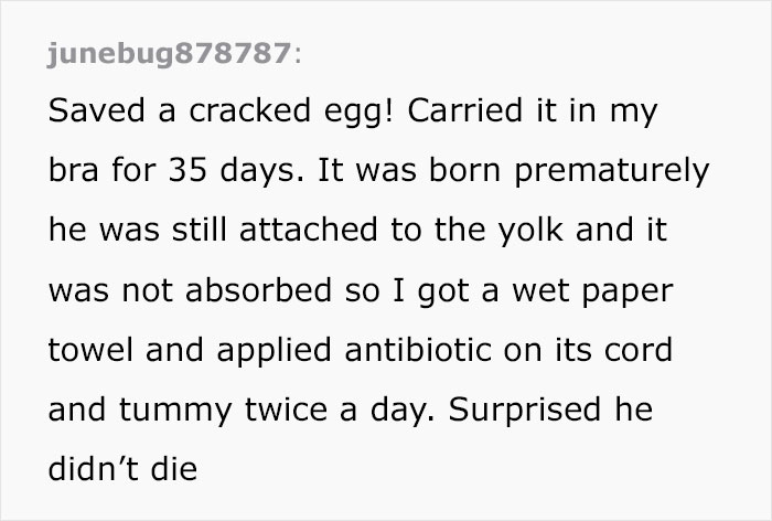 Kids Destroy Duck's Nest, Woman Saves Cracked Egg By Carrying It In Her Bra For 35 Days
