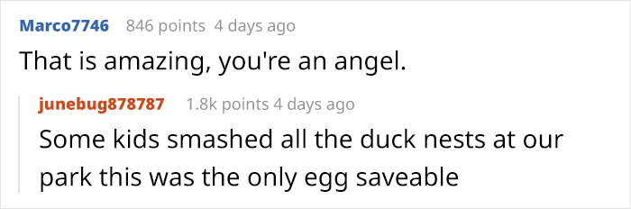 Kids Destroy Duck's Nest, Woman Saves Cracked Egg By Carrying It In Her Bra For 35 Days Kids Destroy Duck's Nest, Woman Saves Cracked Egg By Carrying It In Her Bra For 35 Days