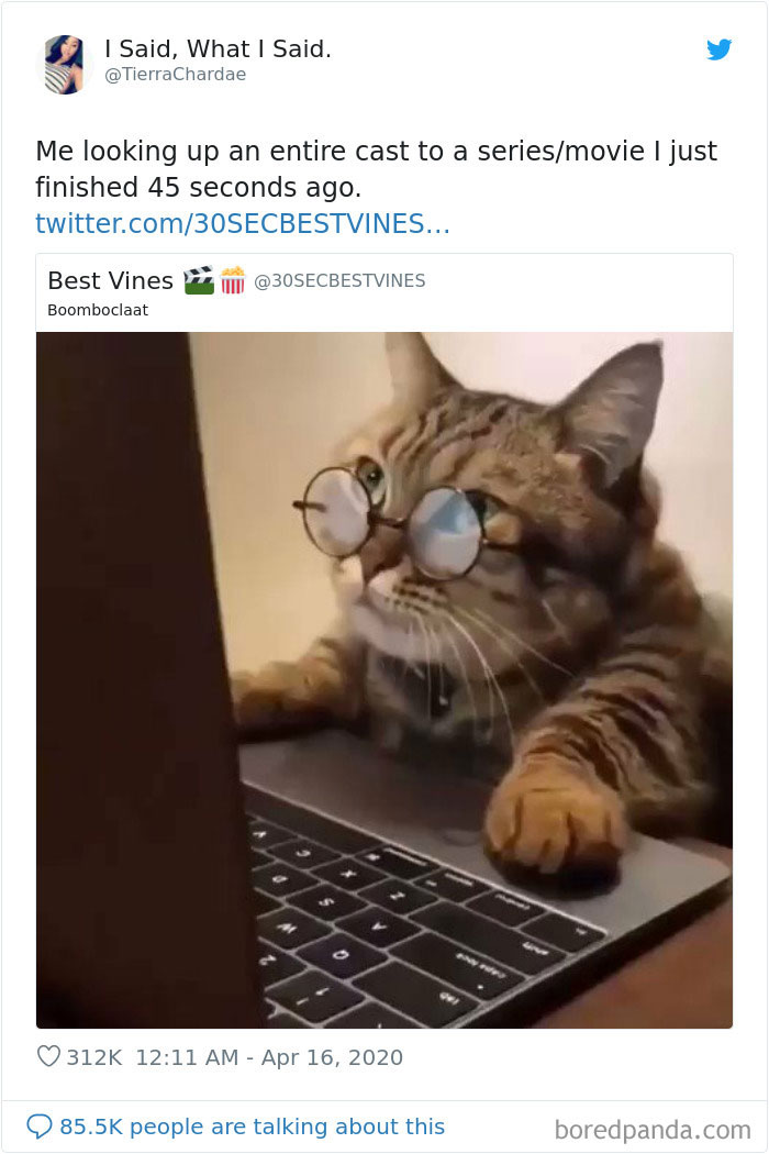 Funny-Women-Tweets-Jokes