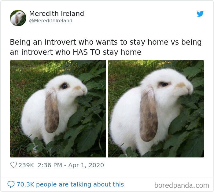 Funny-Women-Tweets-Jokes