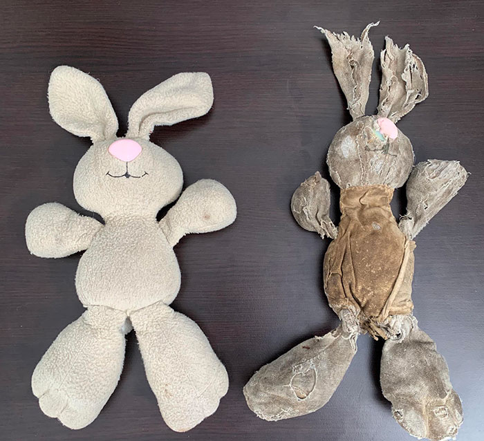 A New Stuffed Animal Next To A Well-Worn Stuffed Animal