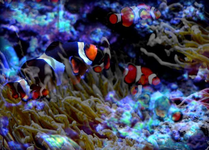 Zookeepers Share How Animals Are Reacting To The Lack Of Visitors