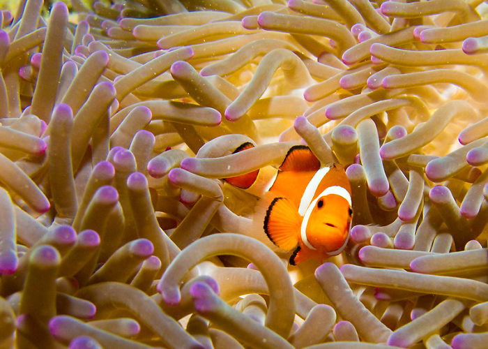 Zookeepers Share How Animals Are Reacting To The Lack Of Visitors