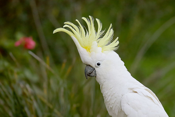 Zookeepers Share How Animals Are Reacting To The Lack Of Visitors