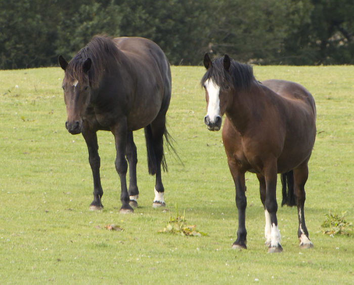 Zookeepers Share How Animals Are Reacting To The Lack Of Visitors