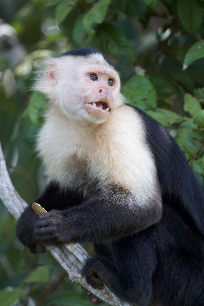 Zookeepers Share How Animals Are Reacting To The Lack Of Visitors