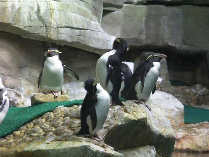 Zookeepers Share How Animals Are Reacting To The Lack Of Visitors