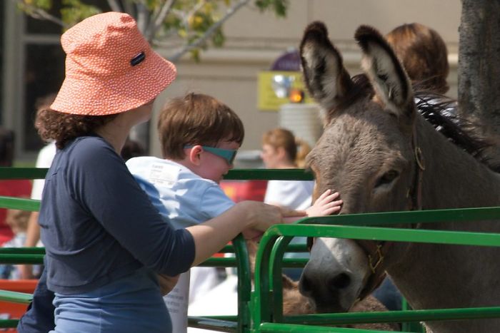 Zookeepers Share How Animals Are Reacting To The Lack Of Visitors