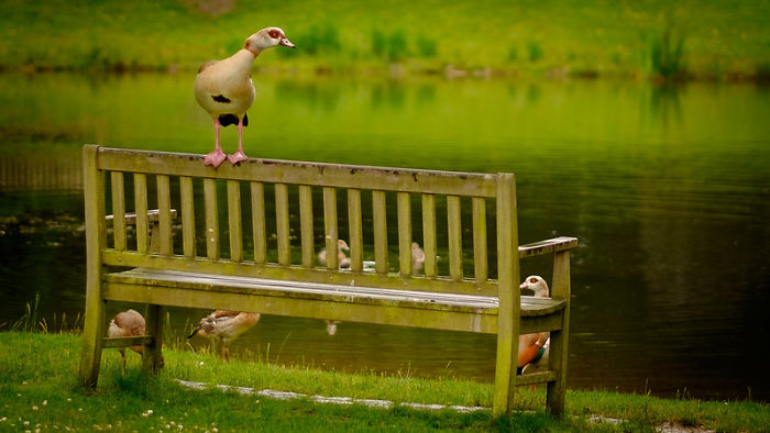 Zookeepers Share How Animals Are Reacting To The Lack Of Visitors