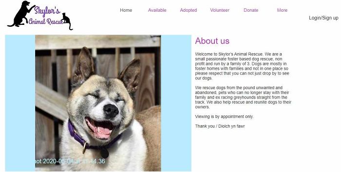 Dog Owner Searches For A Replacement Dog But Instead Finds His Lost Dog Who Was Stolen A Year Ago Dog Owner Searches For A Replacement Dog But Instead Finds His Lost Dog Who Was Stolen A Year Ago