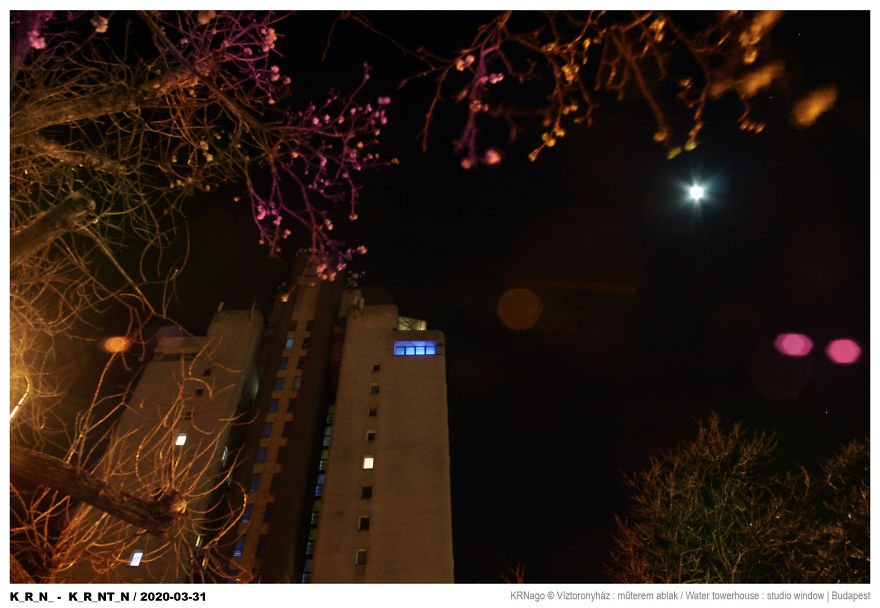 While I'm Stuck In Quarantine, I Started An Art Project On My Windows While I'm Stuck In Quarantine, I Started An Art Project On My Windows