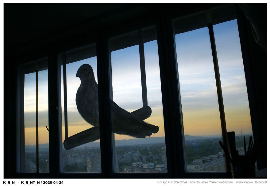 While I'm Stuck In Quarantine, I Started An Art Project On My Windows While I'm Stuck In Quarantine, I Started An Art Project On My Windows