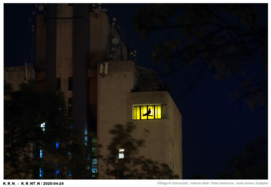 While I'm Stuck In Quarantine, I Started An Art Project On My Windows While I'm Stuck In Quarantine, I Started An Art Project On My Windows