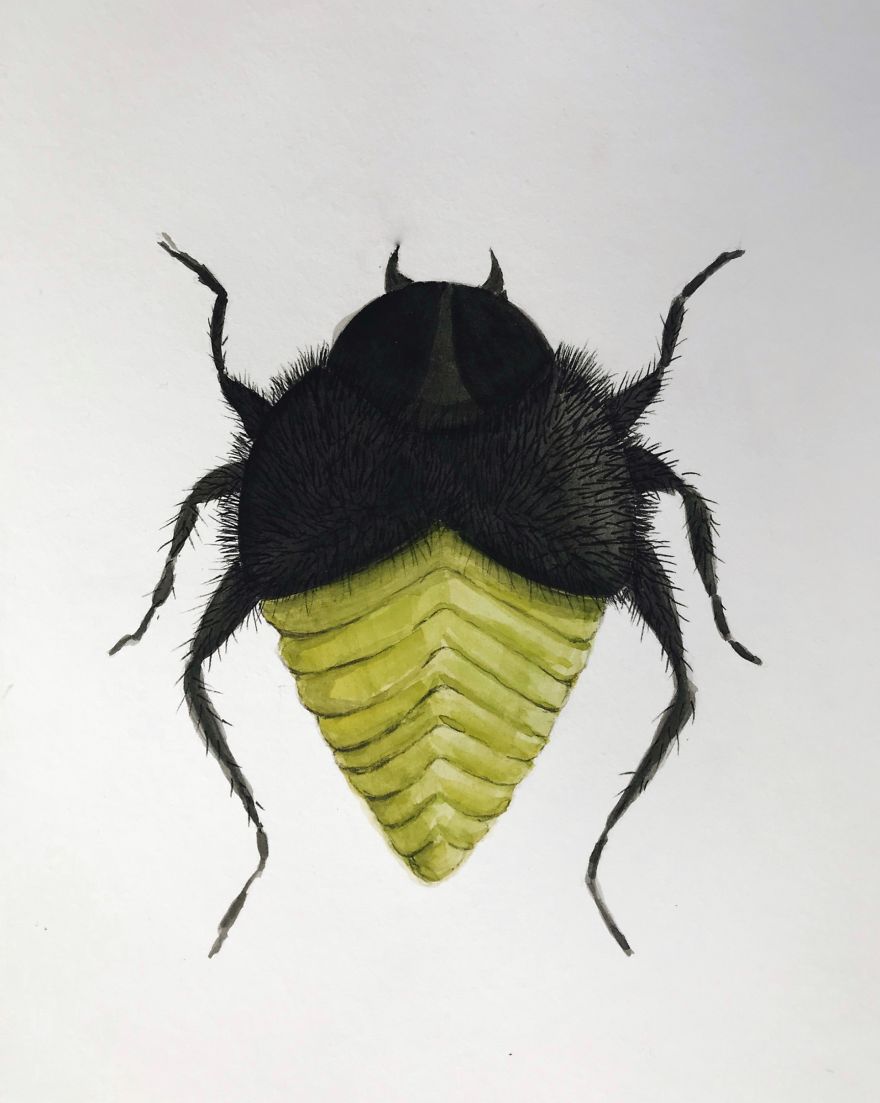 I Made These Surreal Insects Combining Only Black And Yellow Watercolor