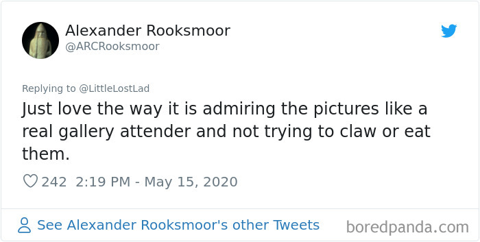 Cat Gets Injured And Can't Leave Home So His Owner Makes Him Art Gallery To Cheer Him Up