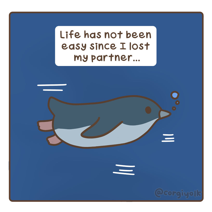 I Created A Comic Strip Based On The Two Widowed Fairy Penguins Photograph That Went Viral I Created A Comic Strip Based On The Two Widowed Fairy Penguins Photograph That Went Viral