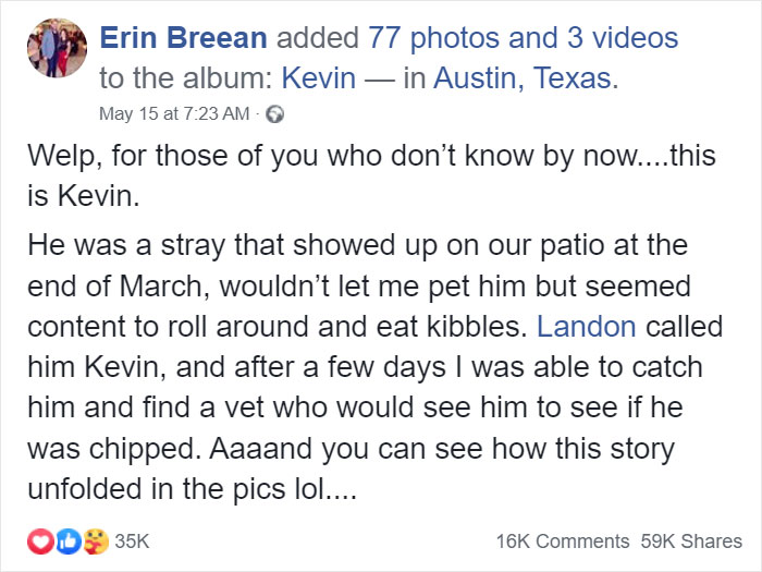 Woman Hilariously Documents Her Attempt To Take Care Of The Cat Who Wouldn't Stop Visiting Her Woman Hilariously Documents Her Attempt To Take Care Of The Cat Who Wouldn't Stop Visiting Her