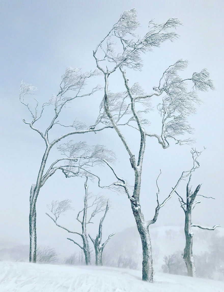 Here Are The 10 Winning Photographs From The 'Landscape' Contest