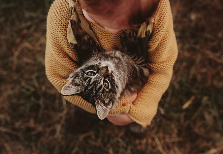 I Capture Children With Animals And Create Magical Moments.