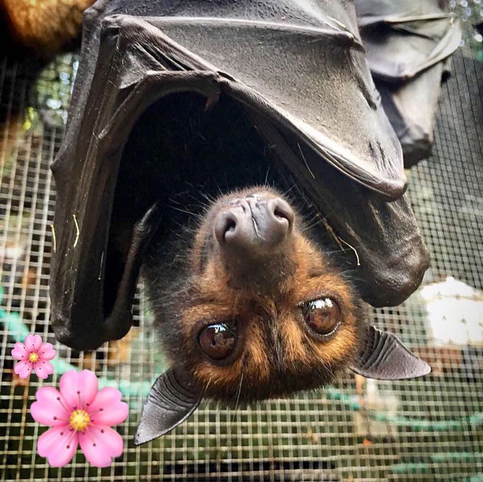 The View's Better From The Upside Down!