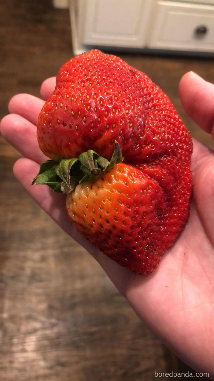 Giant-Produce-Food-Delivery-Quarantine