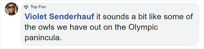 Smallest Wild Cat In Western Hemisphere Gets Cuter As Video Unveils What It Sounds Like Smallest Wild Cat In Western Hemisphere Gets Cuter As Video Unveils What It Sounds Like