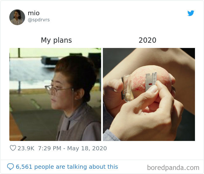 My-Plans-vs.-2020-Meme