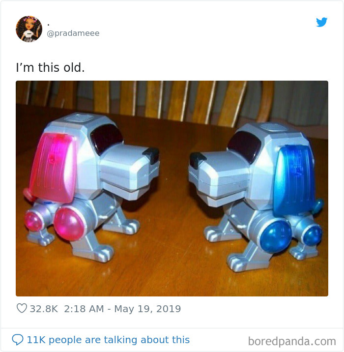 Robo Pets