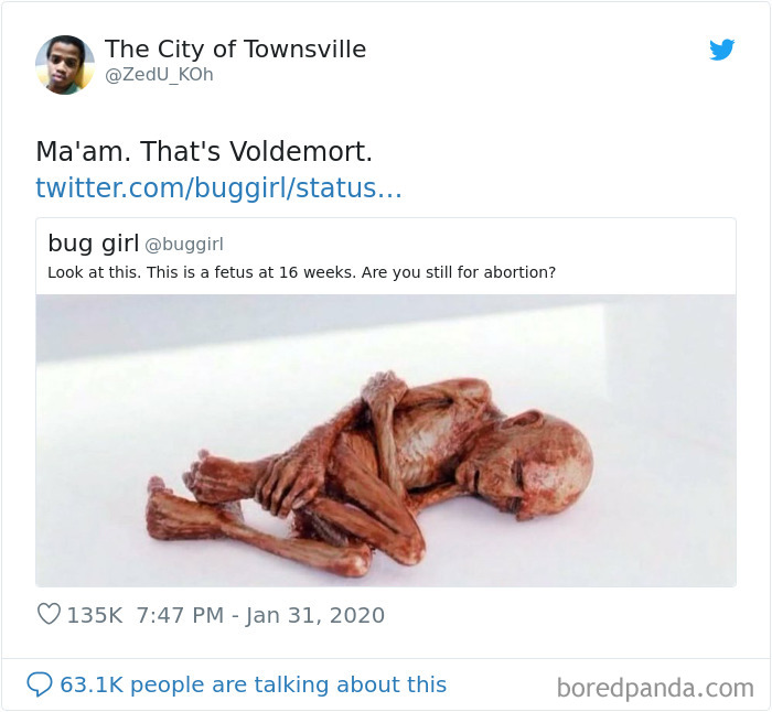 Voldemort Was An Aborted Fetus Guys