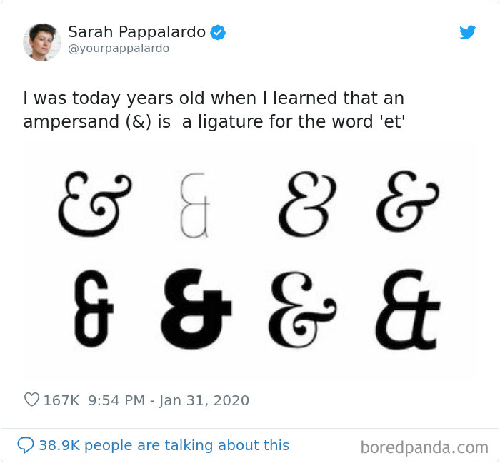 yourpappalardo tweets about ampersand and pictures of ampersand