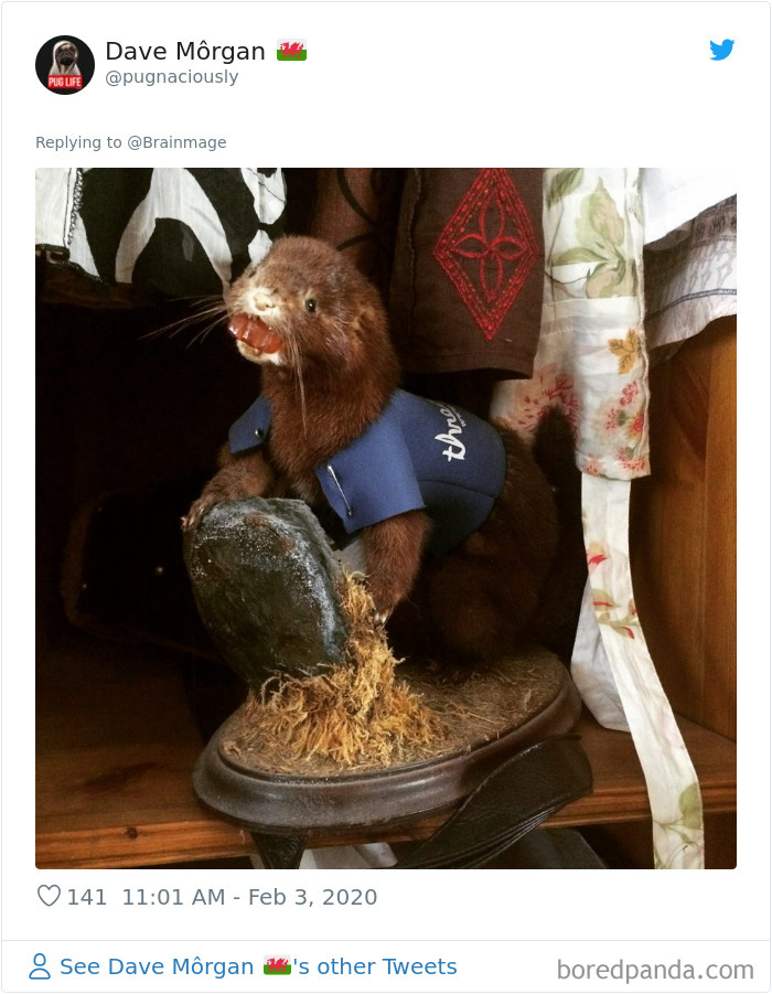 People-Share-Ugliest-Things-At-Home