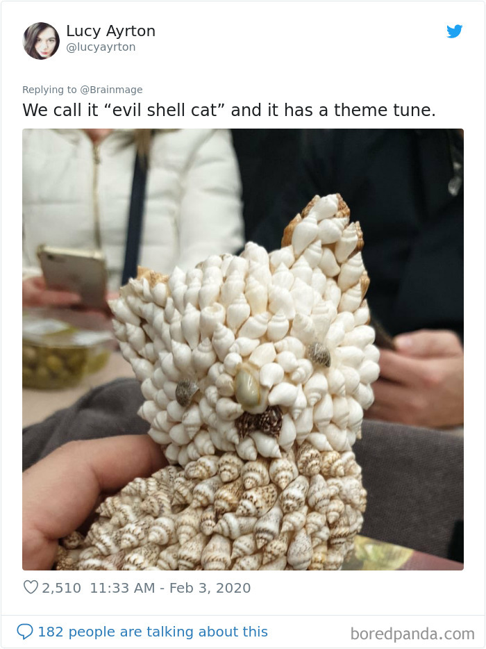 Shell Cat