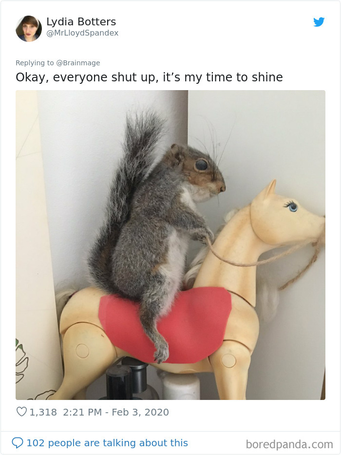 Bad Taxidermy