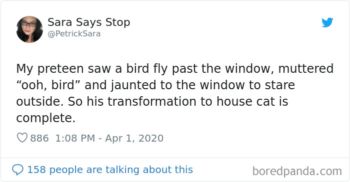 Parenting-Tweet-Jokes