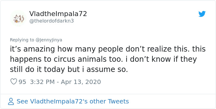 Artist Who Made People Cry With Her &lsquo;Good Boy&rsquo; And &lsquo;Black Cat&rsquo; Comics Is Back, And This Time It&rsquo;s About Elephants