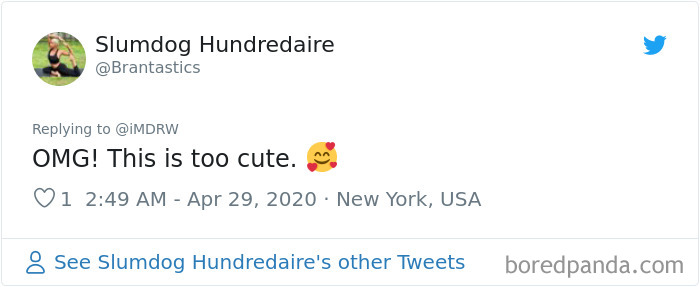 Woman Documents Her Daughter Turning A Spare Room Into A House For Their Dogs Woman Documents Her Daughter Turning A Spare Room Into A House For Their Dogs