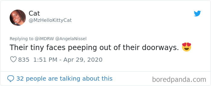 Woman Documents Her Daughter Turning A Spare Room Into A House For Their Dogs Woman Documents Her Daughter Turning A Spare Room Into A House For Their Dogs